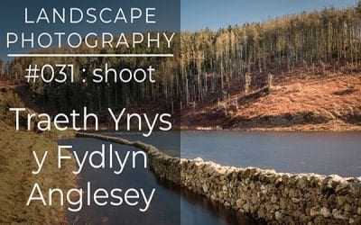#031: Ynys y Fydlyn, Anglesey, North Wales