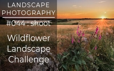#044: Landscape Photography Wildflower Challenge