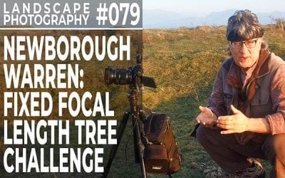 #079: Landscape Photography Tree Challenge. Newborough Warren, Anglesey