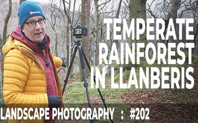 Temperate Rainforest in Llanberis, Eryri (Ep #202)
