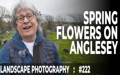 Spring Flowers on Anglesey (Ep #222)